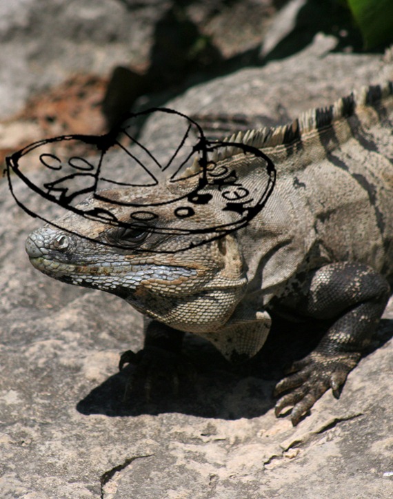 MexicoLizard