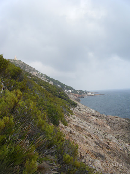 2012_08160036.jpg