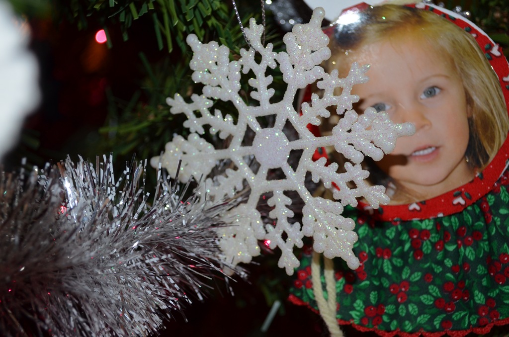 [DSC_0065%255B7%255D.jpg]