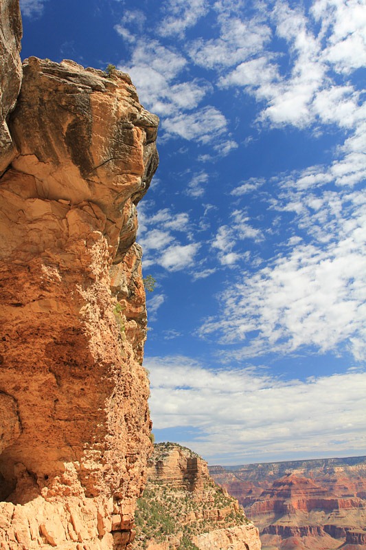 [120726_Grand-Canyon-Bright-Angel-Tra%255B15%255D.jpg]