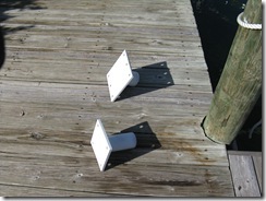 IMG_4513 IMG_4513