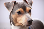 0 IMG_3239.jpg 0 IMG_3239.jpg