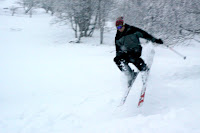 IMG_5946.JPG