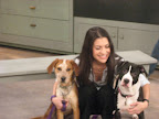 It must have been while filming this shot that camera man Chris fell in love with Caboose, the redhead on the left. Chris took his wife and son to meet him last weekend and have now adopted him!! Sweet Oreo still need a home though.