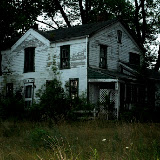 "The Martin Homestead" - copyright Theresa Mottle