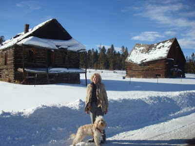 Colorado "Buddy" Bear my Labradoodle<br />
morning walk.