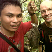 Half Way To Go Hunting Rat Discovery Sulawesi