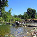 July 29, 2011 Getting the raft over a down tree