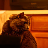 IMG_0932.JPG