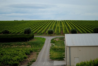 [DSC_0124%255B5%255D.jpg]
