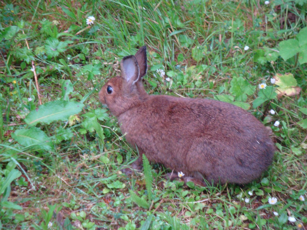 [DSC034404.jpg]