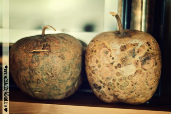 [apple%2520gord%25203%255B4%255D.jpg]