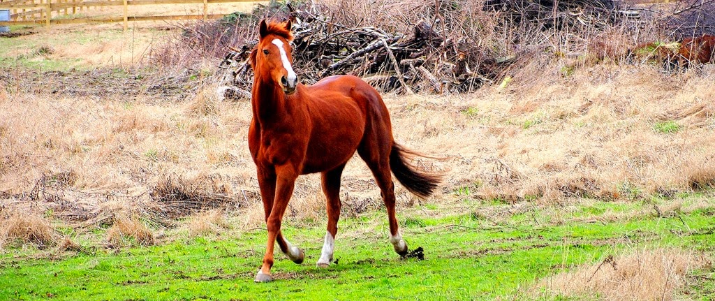 [16%2520March%25206-001%255B3%255D.jpg]