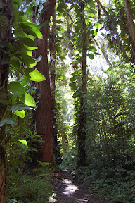 DSC_0214.jpg