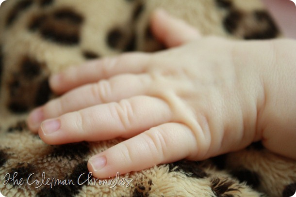 IMG_7367 IMG_7367