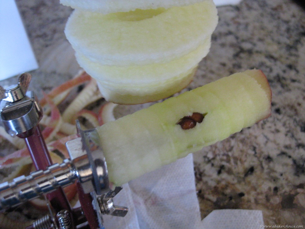 [apple%2520core%255B7%255D.jpg]