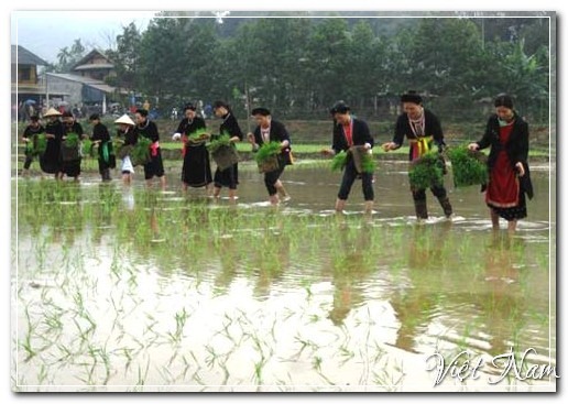 Lễ hội cầu mùa của người Tày, Yên Bái, Việt Nam