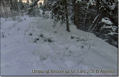utopia-tur-11des_05