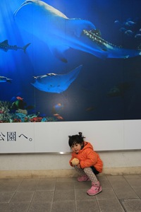 IMG_6488 IMG_6488