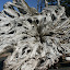 Rialto Beach, WA 1
