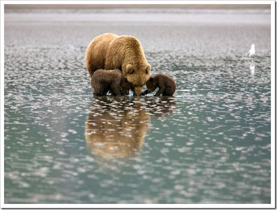 lake clark 2