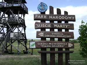 Park Narodowy "Ujście Warty" -wieża widokowa dsc05786.jpg
