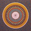 005.JPG