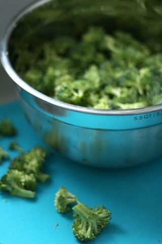 Broccoli Beef Recipe 036
