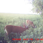 MDGC0165.JPG