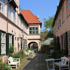 IMG_6761.JPG