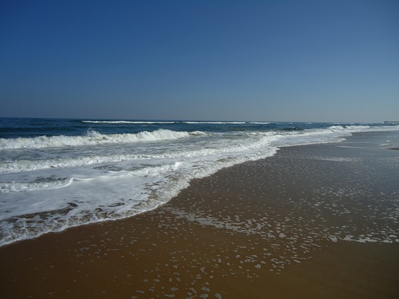 DSC09540 DSC09540