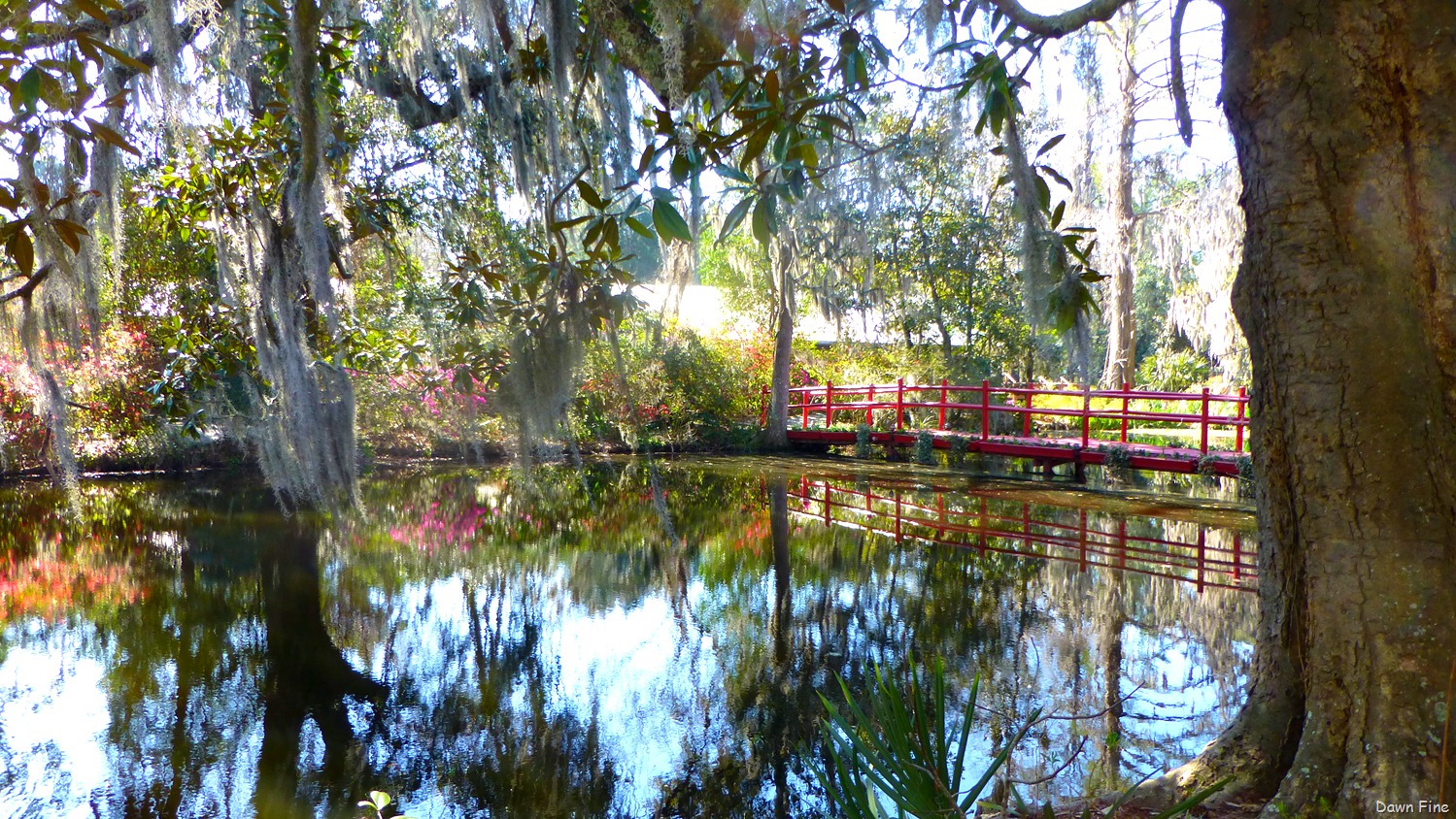 [Magnolia%2520Plantation_041%255B7%255D.jpg]