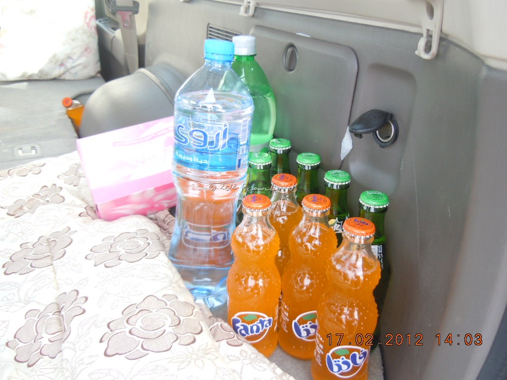 [Picnic%2520032%255B5%255D.jpg]