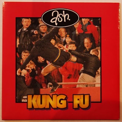 ash kung fu.jpg