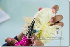 DSC_1408_pompom DSC_1408_pompom