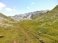 IMG_1542.JPG