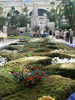 Dancing fountains at the Bellagio Conservatory and Botanical Garden.