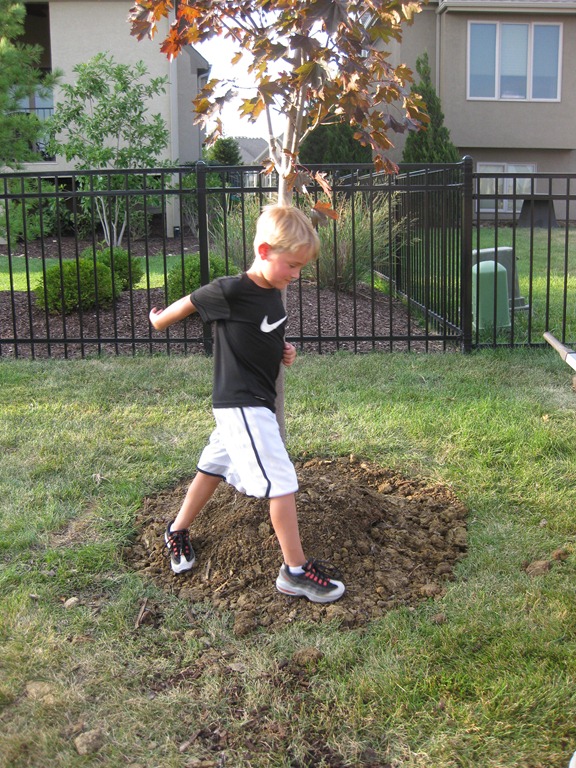 [IMG_8142%255B4%255D.jpg]