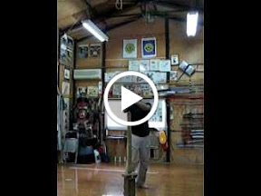 jesse_katana_5100.avi