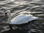 IMG_1627.JPG