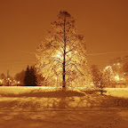 DSC00473din_filtered.jpg