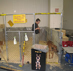 The doggie bathroom 
