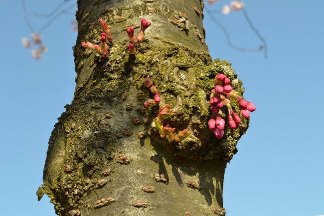 DSC_0445 DSC_0445