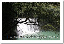IMG_3131 IMG_3131