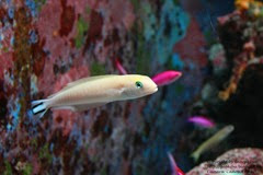 IMG_3022 IMG_3022