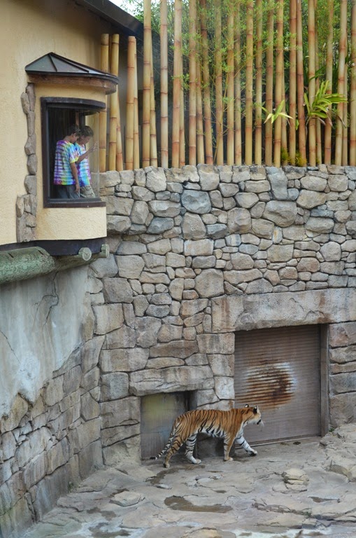 [DSC_8935%255B3%255D.jpg]