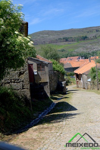 [IMG_2213%255B4%255D.jpg]