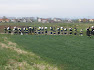 P4210179.JPG