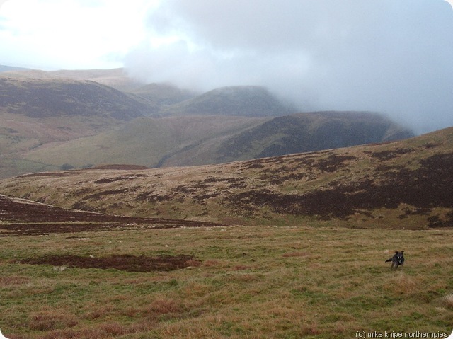 descending to cockup