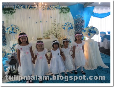 IMG_1881 IMG_1881